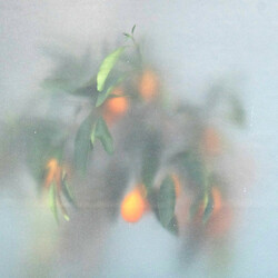 µ-Ziq / Mrs Jynx Secret Garden
