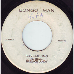 Horace Andy Skylarking