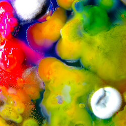 Guerilla Toss Famously Alive VINYL LP