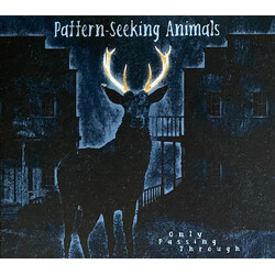 Pattern-Seeking Animals Only Passing Through