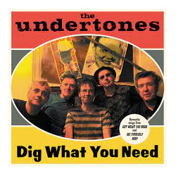 The Undertones Dig What You Need