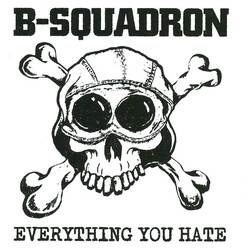 B Squadron Everything You Hate