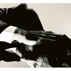 Andrew Bird Inside Problems