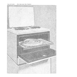 Jan Jelinek The Raw And The Cooked