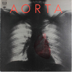 Aorta Aorta