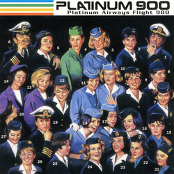 Platinum 900 Platinum Airways Flight 900