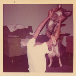 Elucid I Told Bessie
