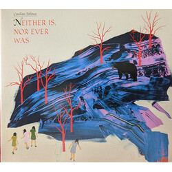 Constant Follower Neither Is, Nor Ever Was