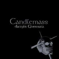 Candlemass Dactylis Glomerata