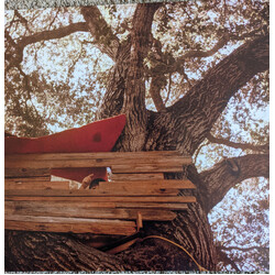 The Backseat Lovers Waiting to Spill Vinyl LP