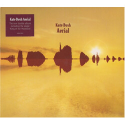 Kate Bush Aerial