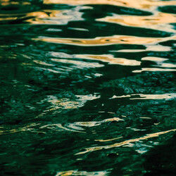 Jo Johnson The Wave Ahead