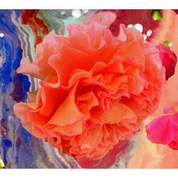 Conic Rose Heller Tag