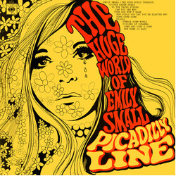 Picadilly Line The Huge World Of Emily Small