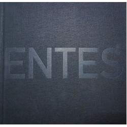 Steven Wilson Insurgentes