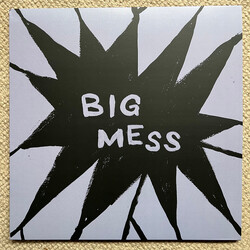 Public Body Big Mess