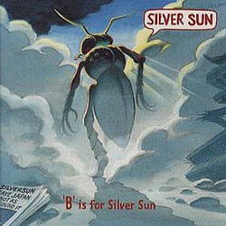 Silver Sun ‘B’ is for Silver Sun VINYL LP