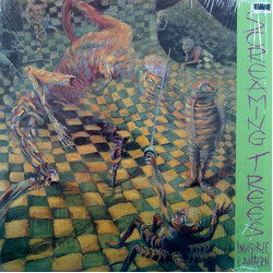Screaming Trees Invisible Lantern