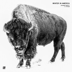 Johannes Brecht / Fetsum Winter In America