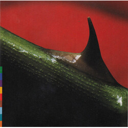 Nusrat Fateh Ali Khan / Michael Brook Night Song