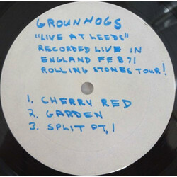 The Groundhogs Live At Leeds