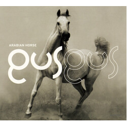 GusGus Arabian Horse
