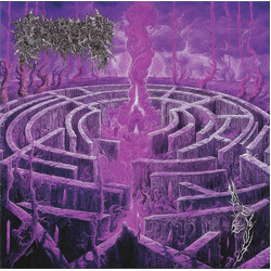 Civerous Maze Envy