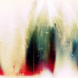 The War On Drugs Future Weather