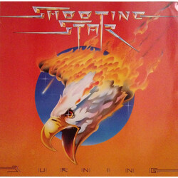 Shooting Star (4) Burning