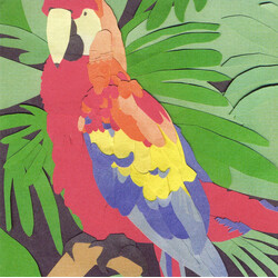 Algernon Cadwallader Parrot Flies
