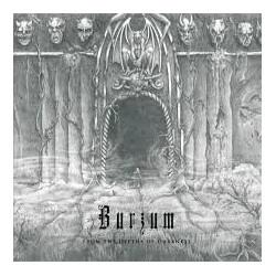 Burzum From The Depths Of Darkness