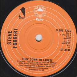 Steve Forbert Goin' Down To Laurel
