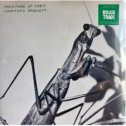 Courtney Barnett Creature Of Habit