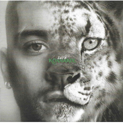ZAYN Konnakol