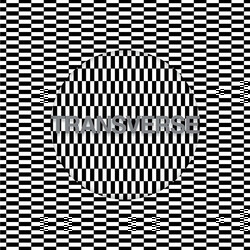 Carter Tutti Void Transverse