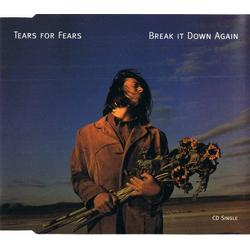 Tears For Fears Break It Down Again
