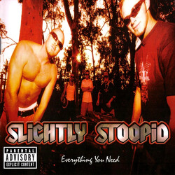 Slightly Stoopid Everything You Need