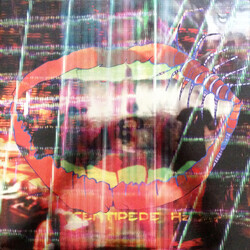 Animal Collective Centipede Hz