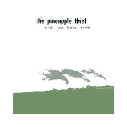 The Pineapple Thief What We Have Sown