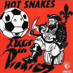 Hot Snakes Audit In Progress
