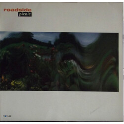 Roadside Picnic Roadside Picnic