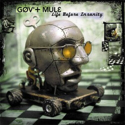 Gov't Mule Life Before Insanity