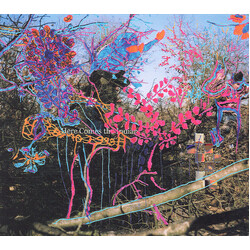 Animal Collective Here Comes The Indian