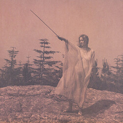Unknown Mortal Orchestra II