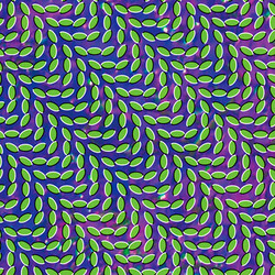 Animal Collective Merriweather Post Pavilion