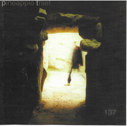 The Pineapple Thief 137