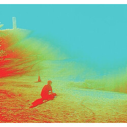 The Flaming Lips The Terror
