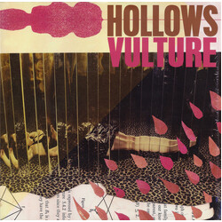 Hollows (2) Vulture