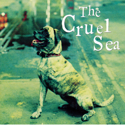 The Cruel Sea Three Legged Dog
