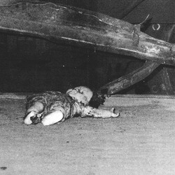 Cicciolina Holocaust / Sermonizer Albeit Albeit / Sibelius Spiders